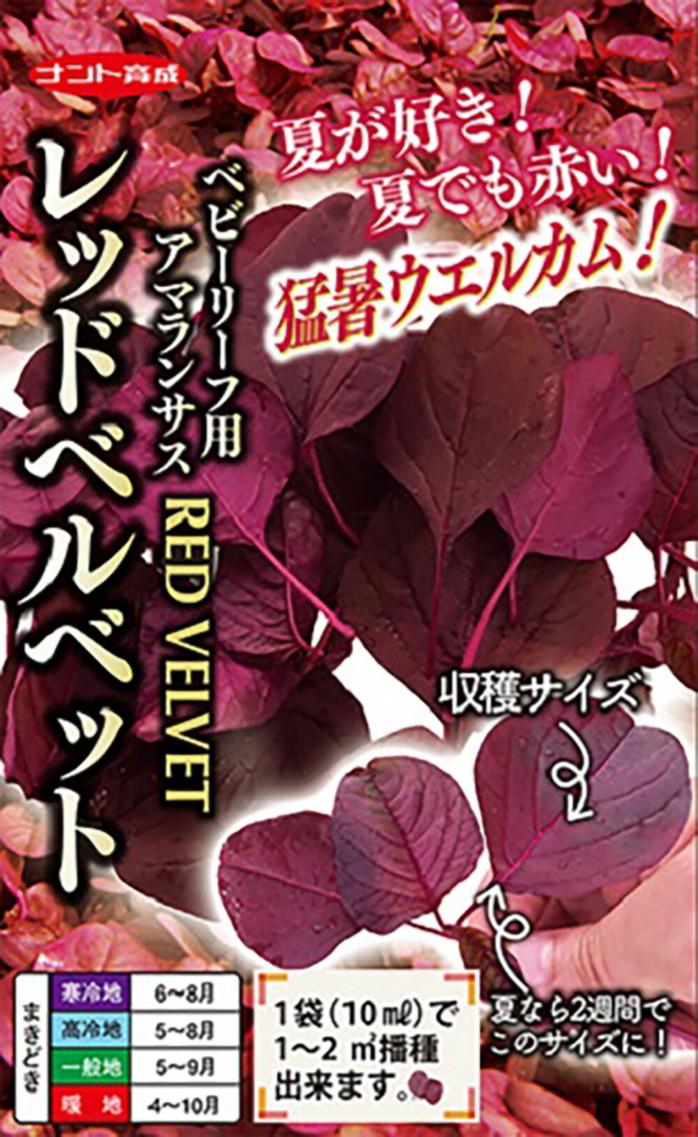 もの言う花岩礁用赤アマランサスレッドベルベット 1l アマランサス あまらんさす【ナント 種 たね タネ】【押し並べて5倍 5のつく日は尖んがり10倍】