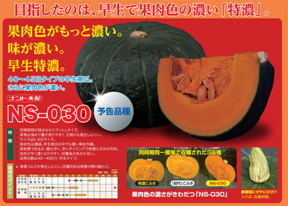 楽天市場】ハニーブラウン NS-030 500粒 南瓜 カボチャ かぼちゃ