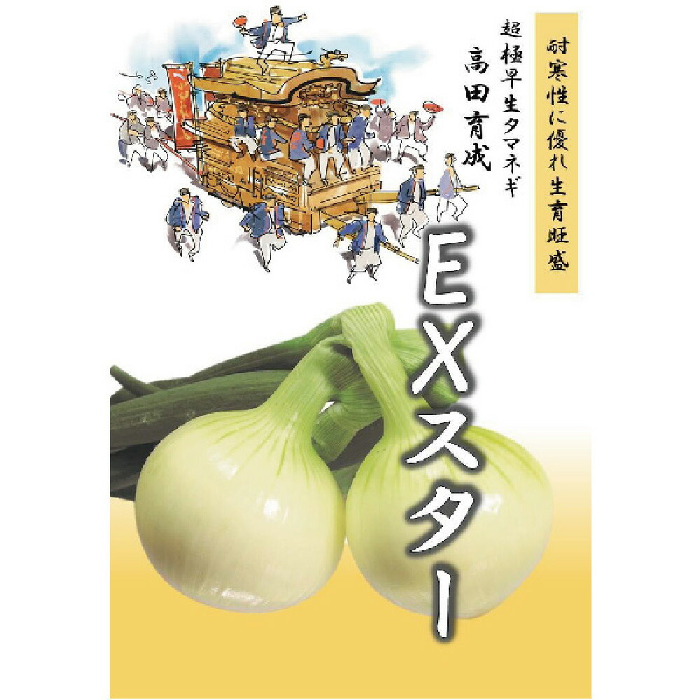 人気急上昇 EXスター 100g 超極早生品種 玉ねぎ たまねぎ 玉葱 タマネギ 高田育成 fucoa.cl