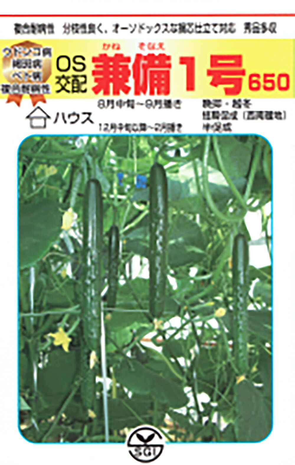 兼備(かねそなえ)1号 350粒 黄瓜 胡瓜 きゅうり【シード 種 たね タネ 】【原則として5倍 5のつく日は尖んがり10倍】