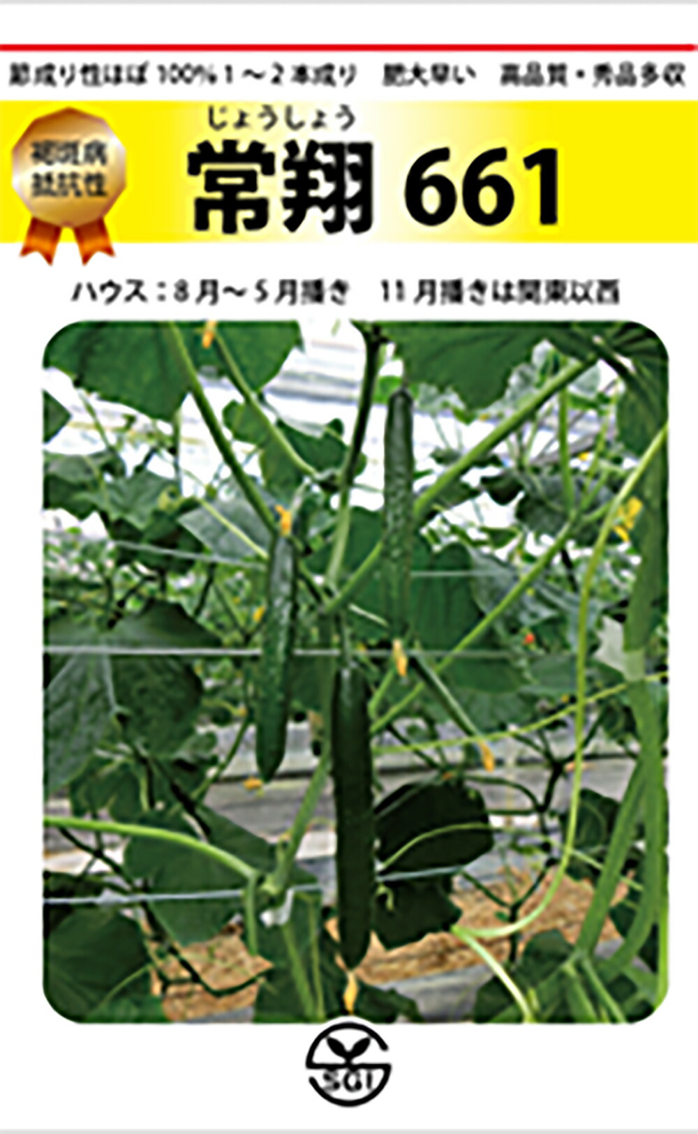 常翔(じょうしょう)661 350粒 黄瓜 胡瓜 きゅうり【シード 種 たね タネ 】【原則として5倍 5のつく日は尖んがり10倍】