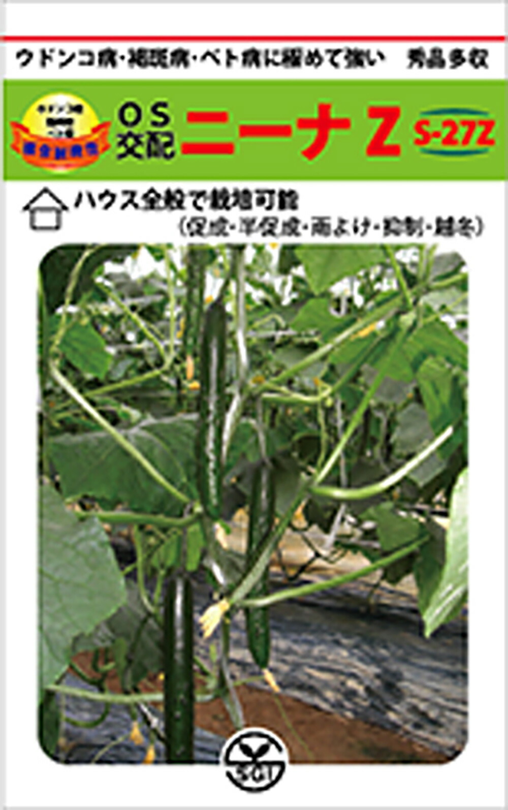 ニーナZ 350粒 胡瓜 キュウリ きゅうり【シード 種 たね タネ 】【通常5倍 5のつく日はポイント10倍】｜全国種苗出荷センター