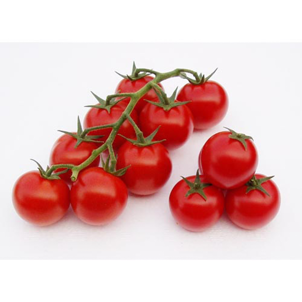 【お買得！】 選ぶなら ミディートマト ティティ 1000粒 トマト とまと 蕃茄 parishippique.com parishippique.com