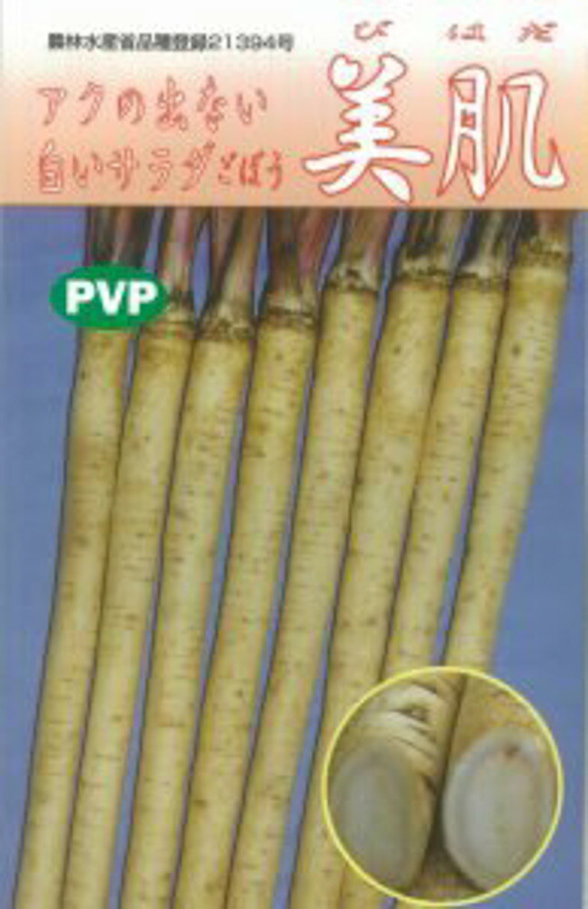 美肌牛蒡 1L詰 牛蒡 ゴボウ ごぼう【佐藤政行種苗 種 たね タネ】【通常5倍 5のつく日はポイント10倍】|全国種苗出荷センター