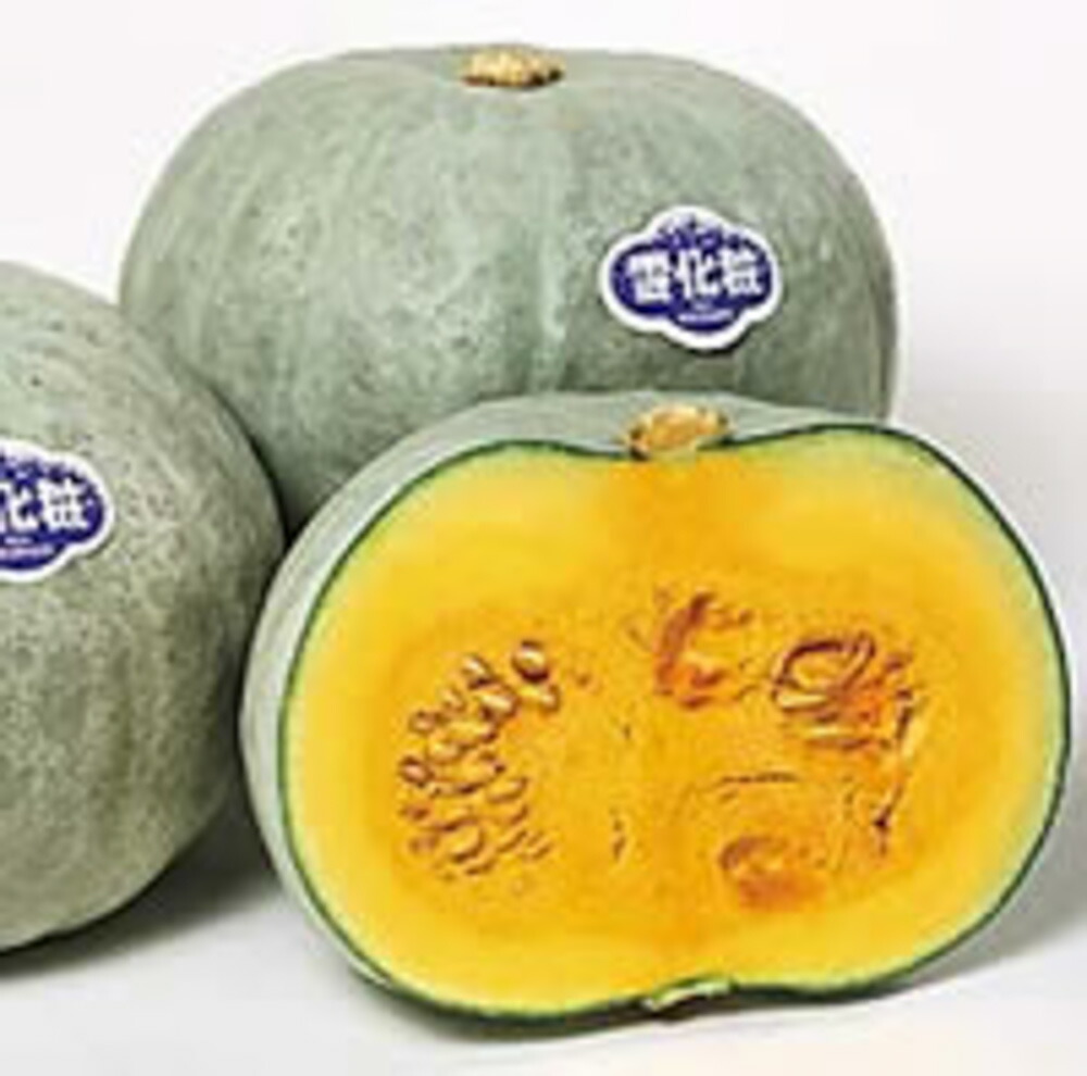 サカタ 実咲野菜1002 雪化粧 ホクホク白皮カボチャ 500粒 Andapt Com