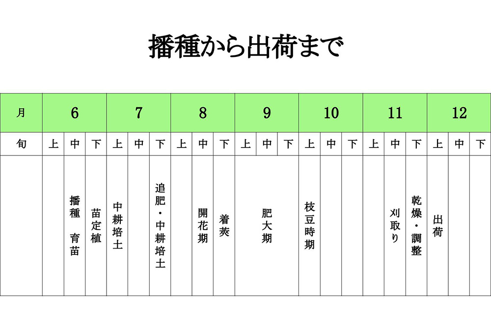 市場 令和3年 黒大豆 250g 丹波黒豆 黒豆 2L 滋賀県産 丹波 とれたてほやほや新豆 くろまめ クロマメ 竜王黒大豆