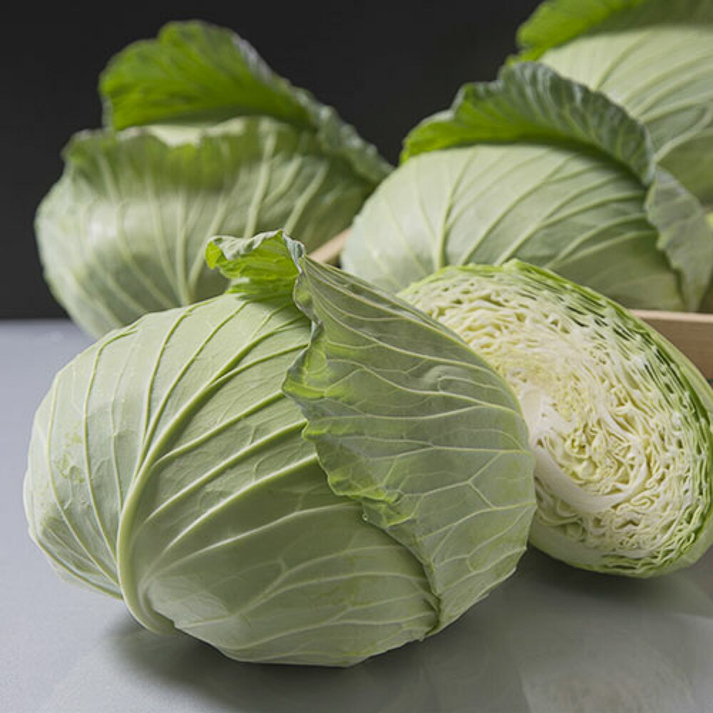 夢いぶき タキイ掛け合わせ L5千粒5センR 球菜【タキイ 種 たね タネ】【原則として5倍 5のつく日は尖んがり10倍】