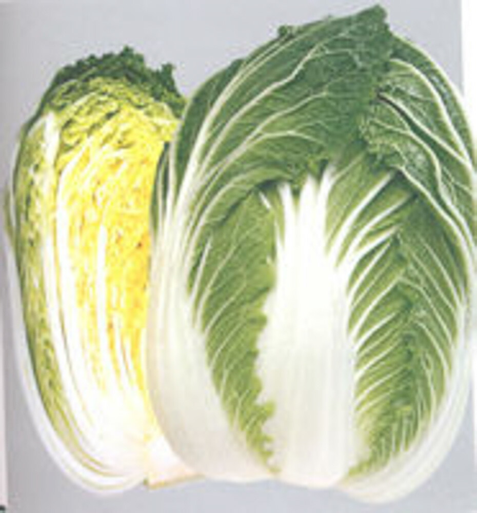黄ごころ80白菜(き・80) タキイ交配 L5千粒5センR 白菜 ハクサイ はくさい
