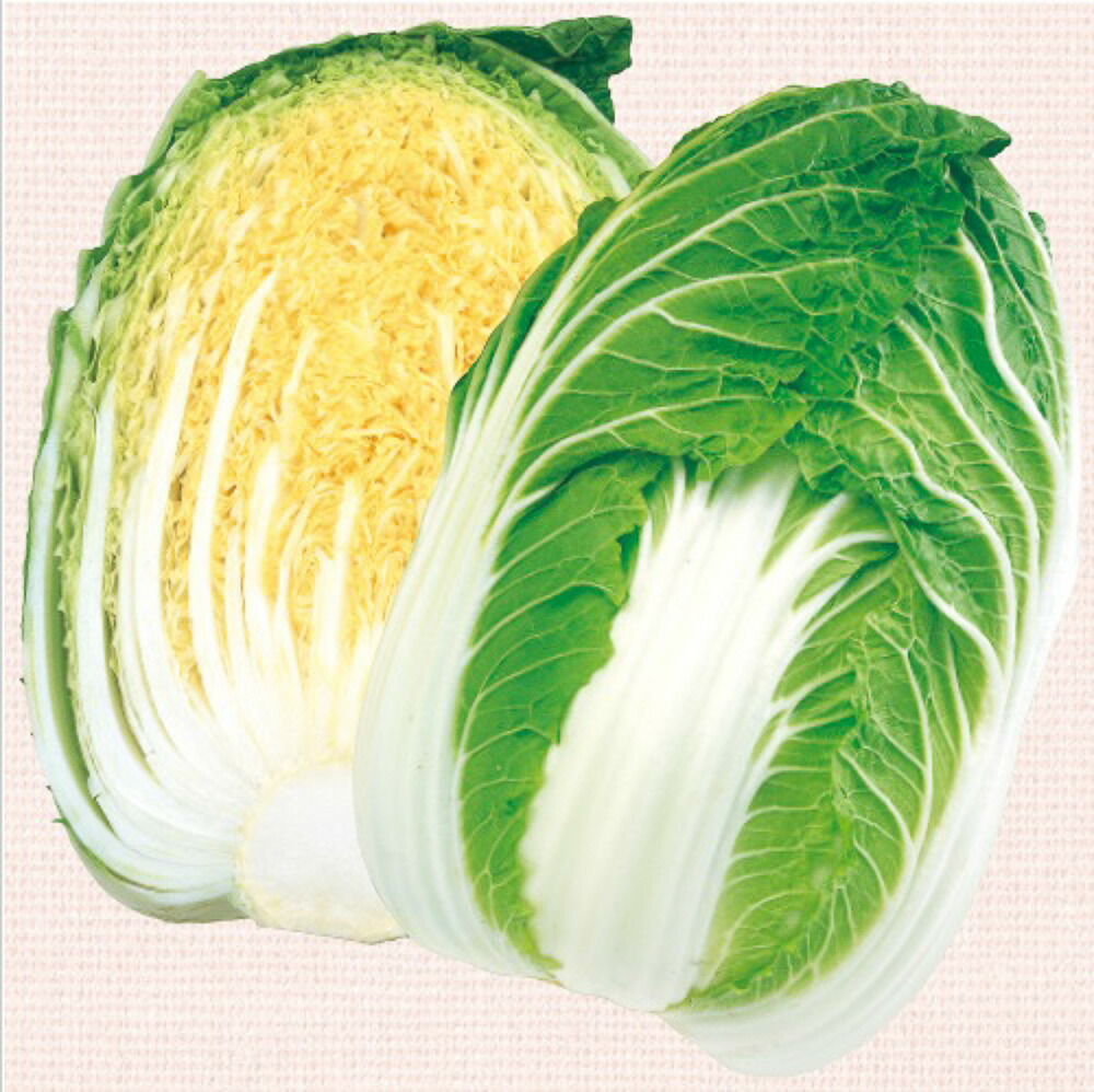 きらぼし77白菜 タキイ交配 L5千粒5センR 白菜 ハクサイ はくさい【タキイ 種 たね タネ】【通常5倍 5のつく日はポイント10倍】｜全国種苗出荷センター