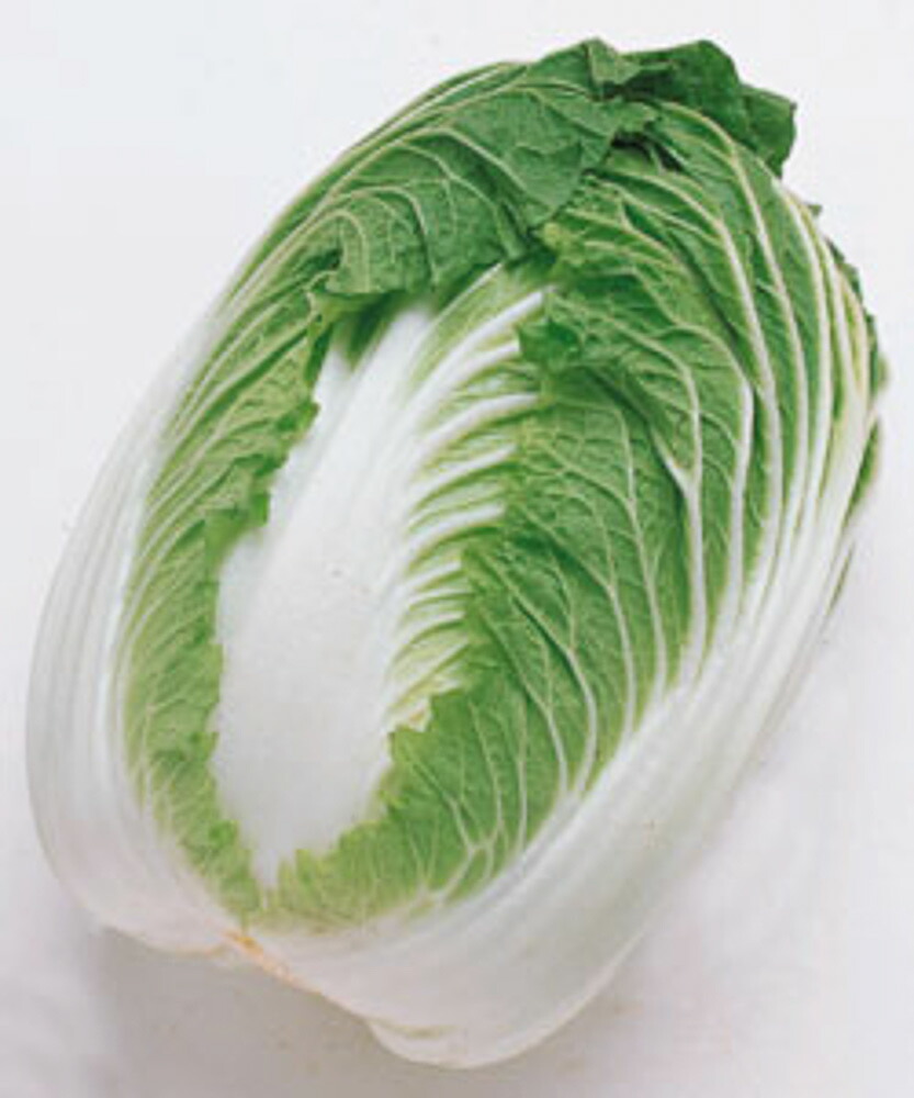 ほまれ二号白菜(とき) タキイ交配 1dlスタンドパック100ml 白菜 ハクサイ はくさい【タキイ 種 たね タネ】【通常5倍 5のつく日はポイント10倍】｜全国種苗出荷センター