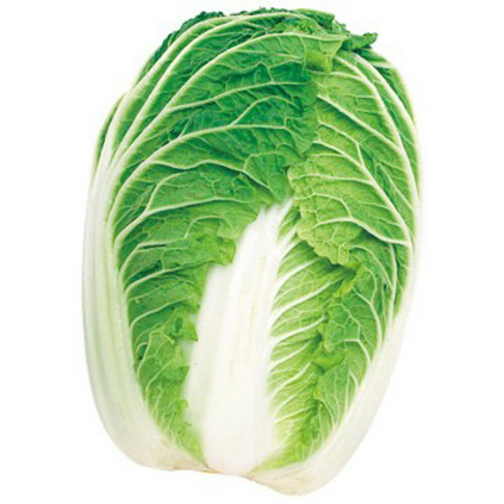 白菜 Amazon | サカタのタネ 実咲野菜2621 サラダミニ白菜 タイニー