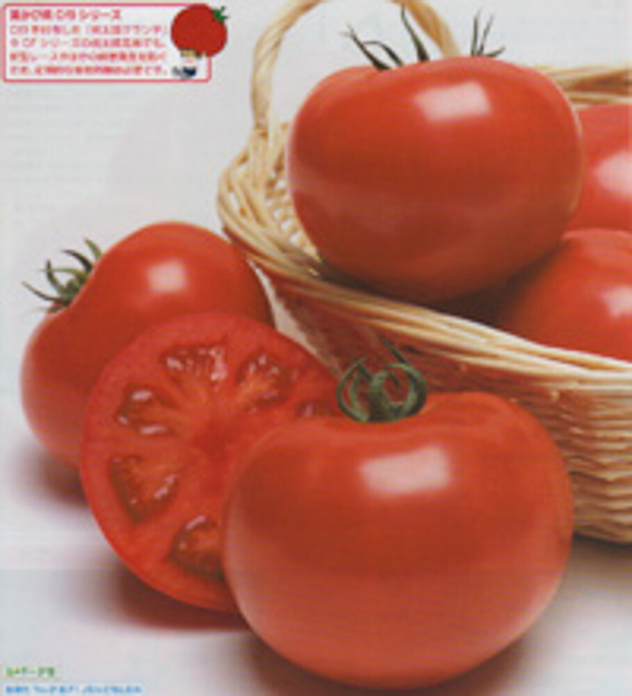 桃太郎グランデトマト  タキイかけ合わせ 2L千粒1センR 赤ナス とまと 蕃茄【タキイ 種 たね タネ】【原則として5倍 5のつく日は尖んがり10倍】 野菜の種子-ガーデニング・農業