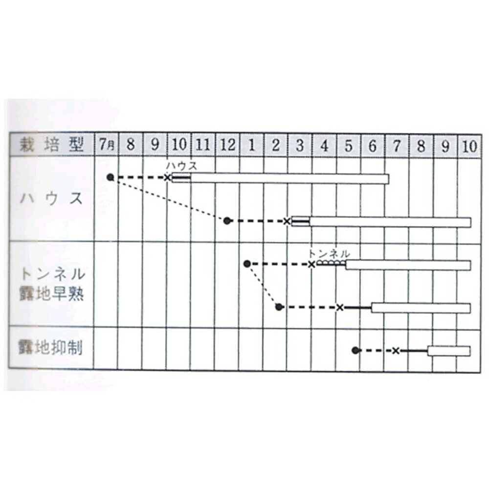 くろわし茄子 タキイ交配 2センR2000粒 ナス なす 茄子 タキイ 種 たね タネ 
