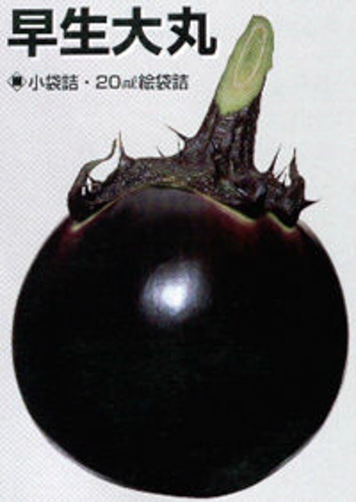 早生大丸茄子 タキイ交配 2000粒2センR ナス なす 茄子【タキイ 種 たね タネ】【通常5倍 5のつく日はポイント10倍】