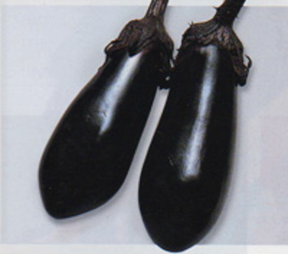 長緑(ちょうりょく) 2000粒詰 ナス なす 茄子 宇治交配 】 長緑ナスの通販