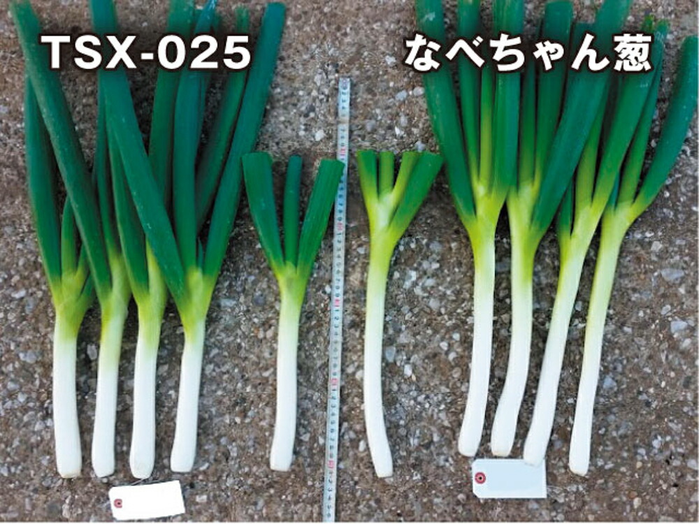 大人気 MOLG90XHXW4 型番:MOLG90XHXW4