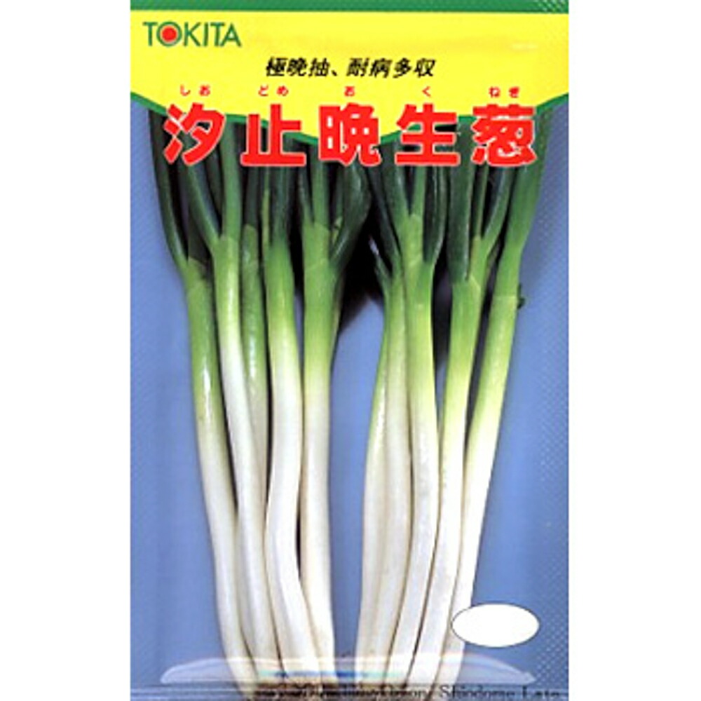 楽天市場】野菜種子 一本ネギ「大河の轟き」 ペレット5,000粒（トキタ