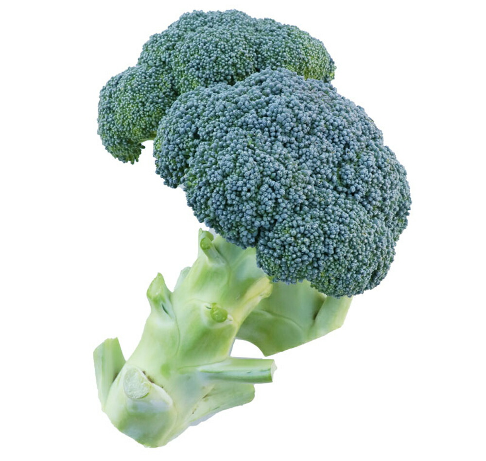 【カズ】ブロッコリー種子（BL-456）5000粒 楽天市場】BL-456 5000粒(Lコート) ブロッコリー 【ブロリード