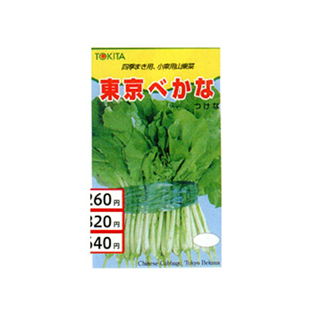 東京べかな 1l 漬け菜 ツケナ つけな【トキタ 種 たね タネ】【通常5倍 5のつく日はポイント10倍】