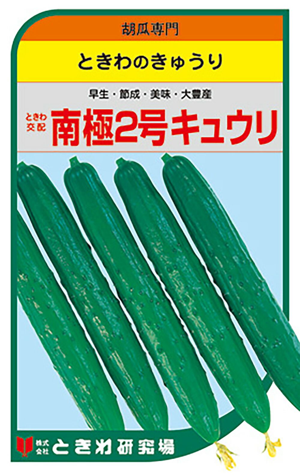 南極2号 350粒 黄瓜 胡瓜 きゅうり南極2号 350粒 ときわ掛け合わせ 【ときわ科学研究所 種 たね タネ】【押し並べて5倍 5のつく日は尖んがり10倍】