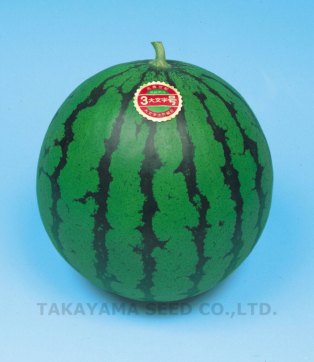 大文字三号 200粒 スイカ すいか 西瓜【タカヤマシード 種 たね タネ 】【通常5倍 5のつく日はポイント10倍】