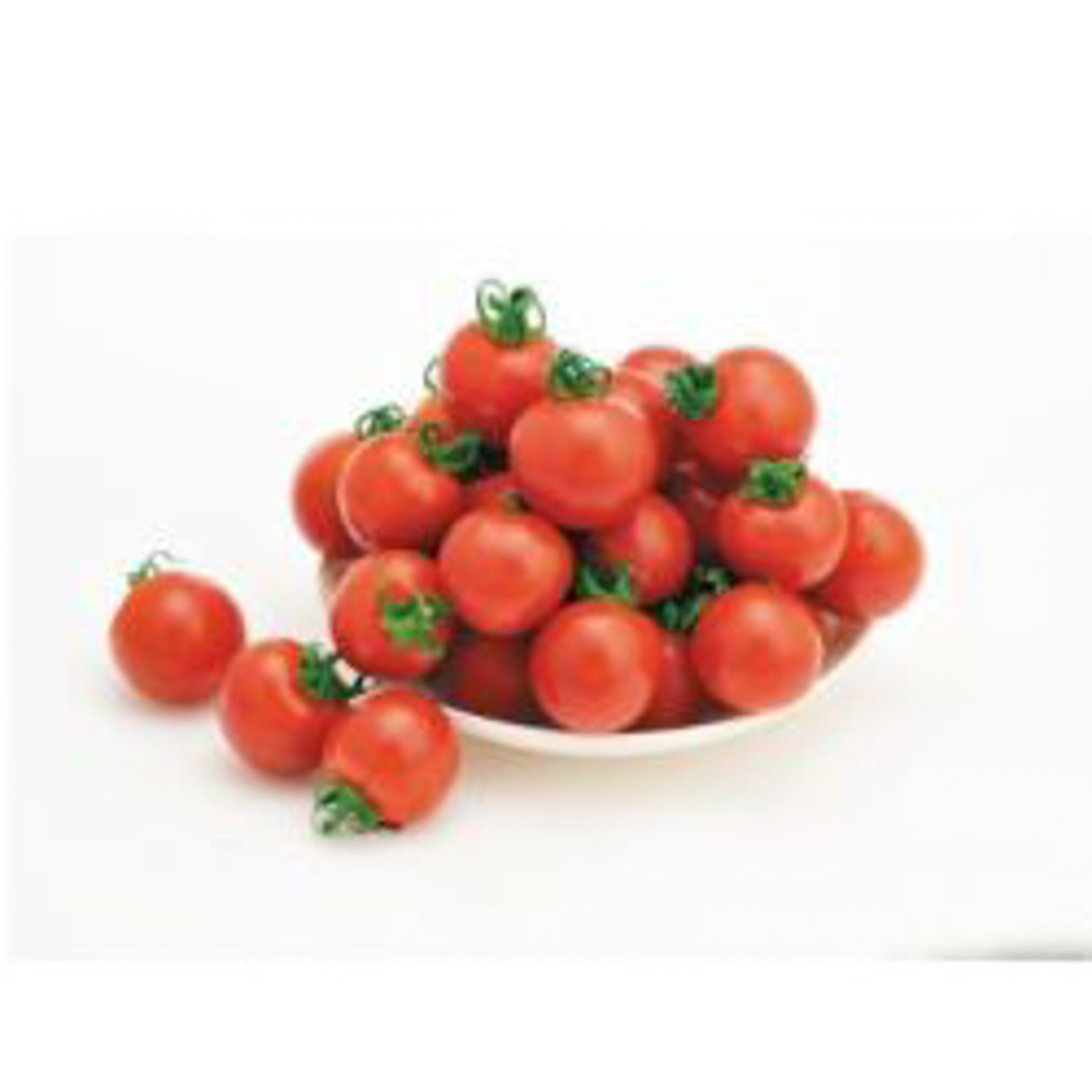 楽天市場 ほれまる 500粒 トマト とまと 蕃茄 一代交配 渡辺農事 種 たね タネ 通常5倍 5のつく日はポイント10倍 一万円以上の購入で5 Offクーポン 全国種苗出荷センター