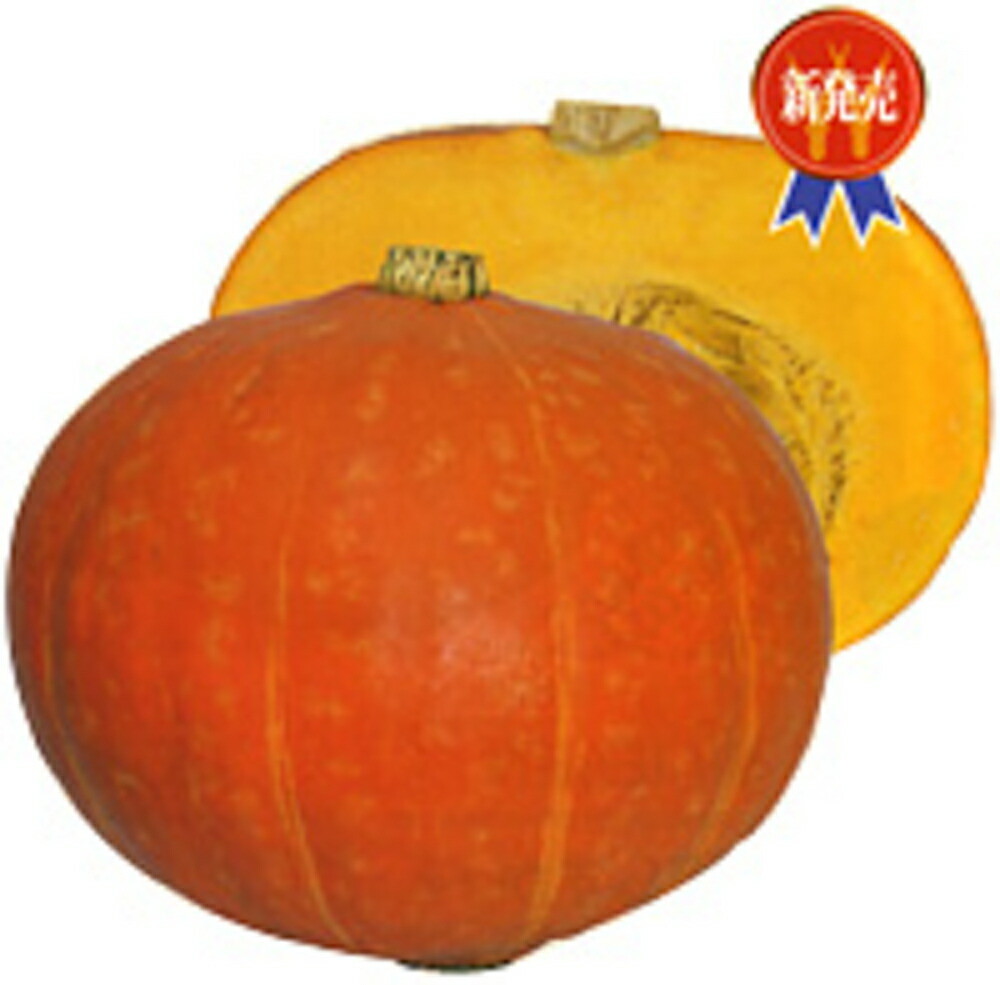 紅爵 500粒 南瓜 カボチャ かぼちゃ【渡辺採種場 種 たね タネ 】【通常5倍 5のつく日はポイント10倍】｜全国種苗出荷センター