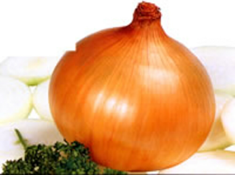 たまねぎ 楽天市場】キーパー808 ペレット2L 5,000粒 玉ねぎ たまねぎ