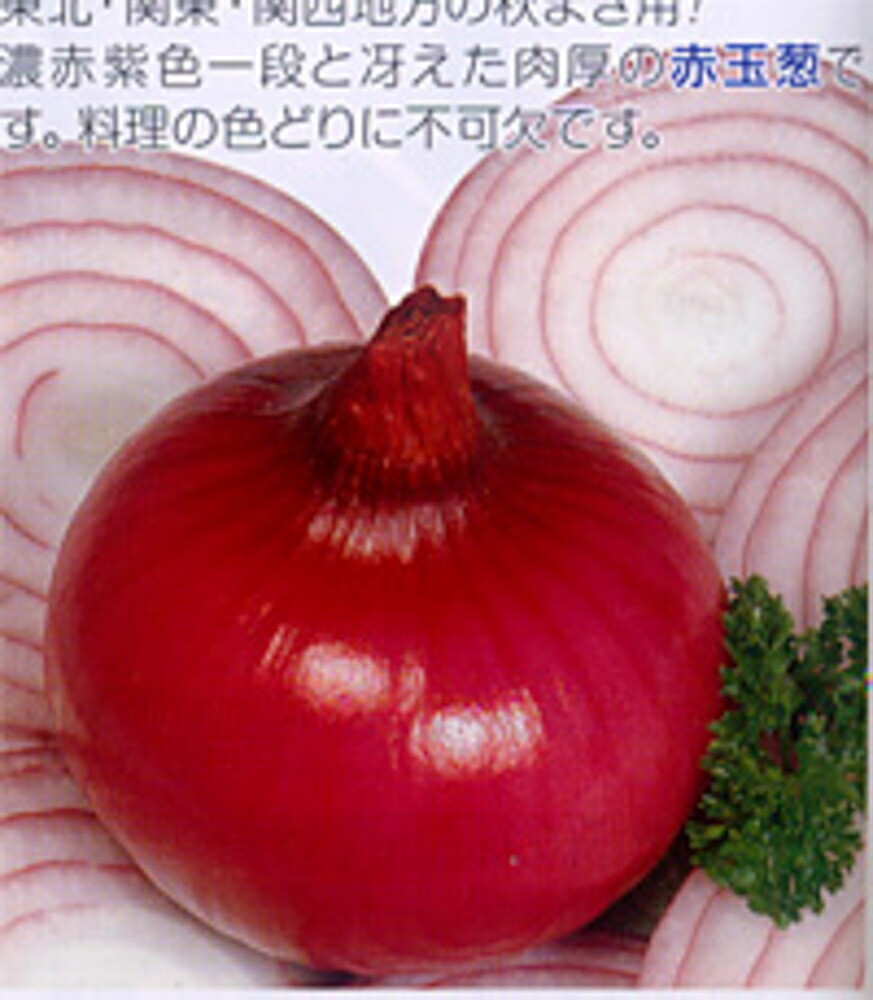 甲高ルージュ 1dl 玉ねぎ たまねぎ 玉葱 タマネギ グランドセール