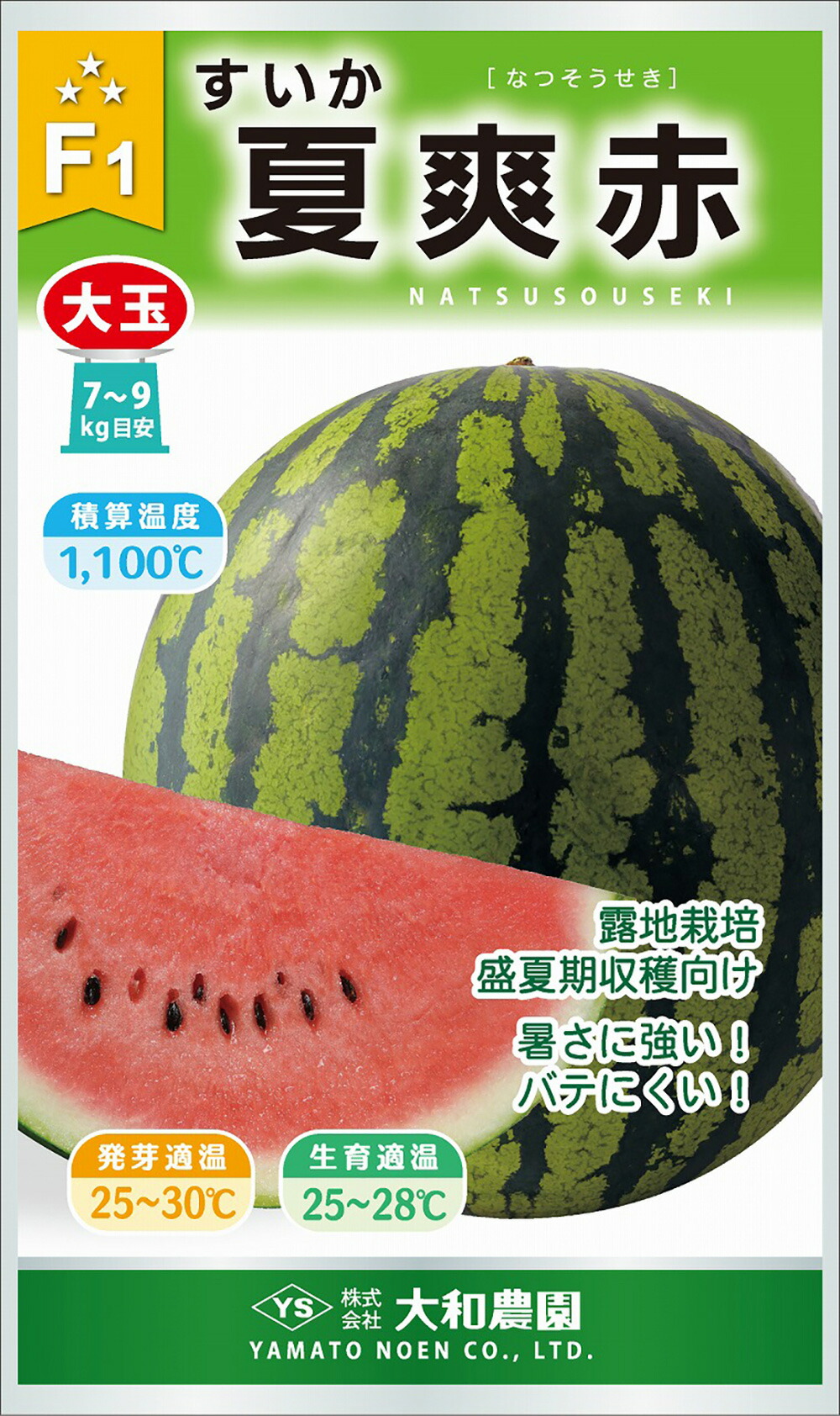 楽天市場】サマーオレンジミドル 200粒 スイカ すいか 西瓜