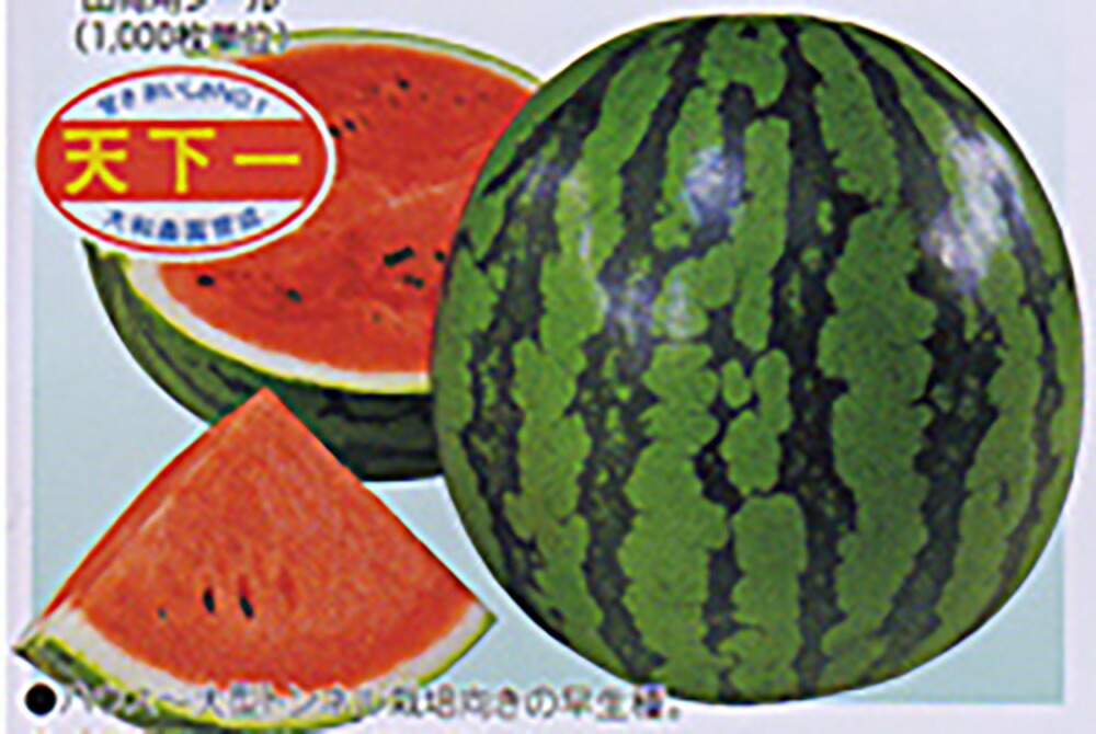 楽天市場】【メーカー直送品】オーレック 交配用すいか花粉（冷凍