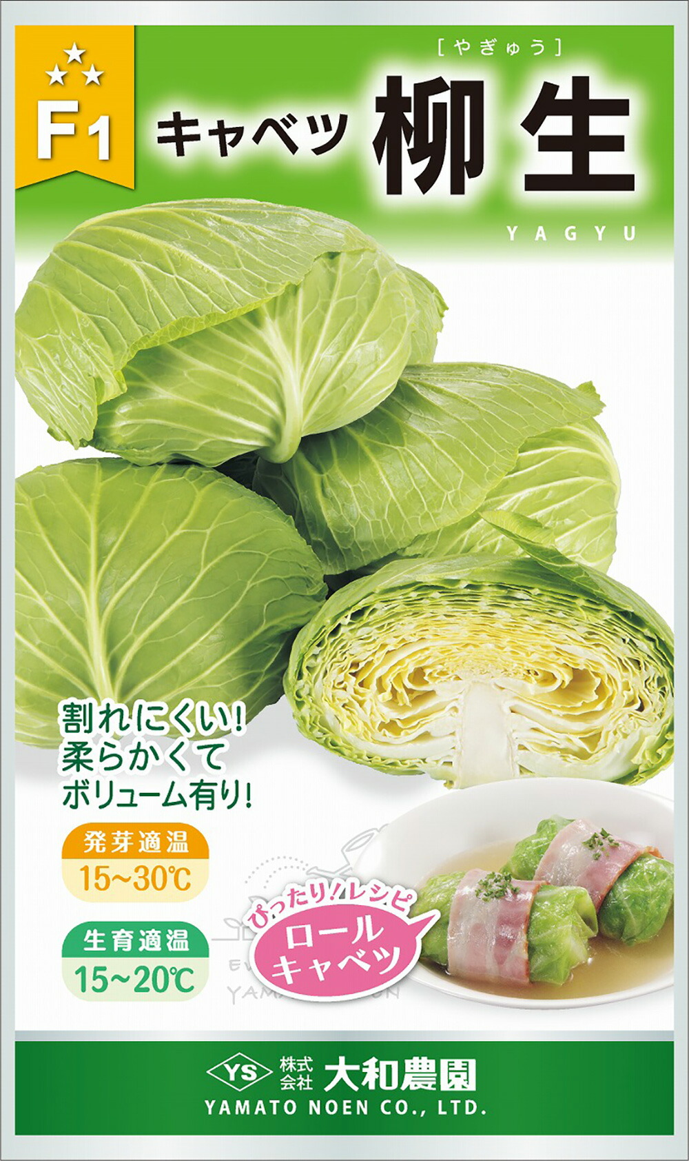 柳生 5000粒厚地の外套 玉菜【大和栽培所 種 たね タネ】【押し並べて5倍 5のつく日は尖んがり10倍】