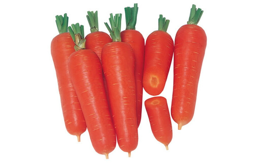 楽天市場】はまべに五寸 Lコート1万粒 ニンジン にんじん 人参 ウエキ