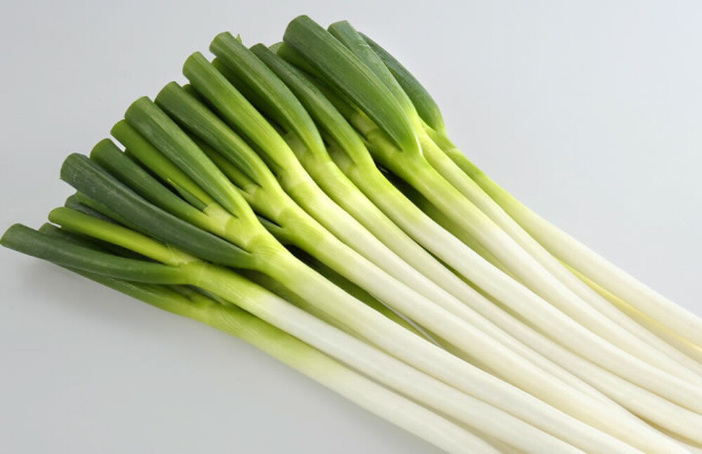 楽天市場】【ポイント5倍 5のつく日は10倍】龍のぼり(UE-506) 2Lコート