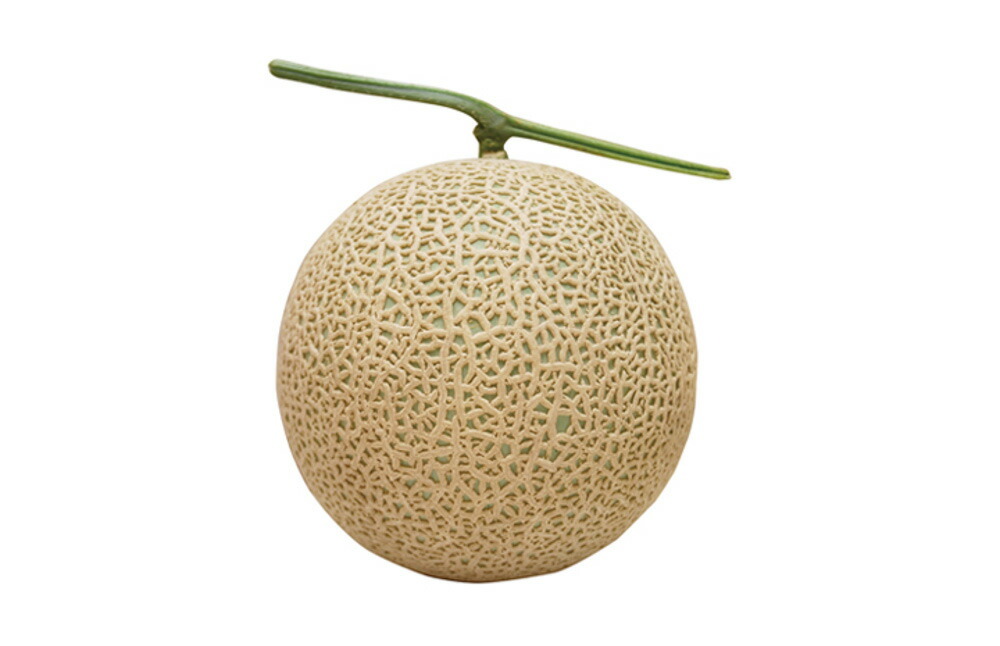 楽天市場】UA-107 100粒 めろん メロン 舐瓜 ウエキ交配 横浜植木