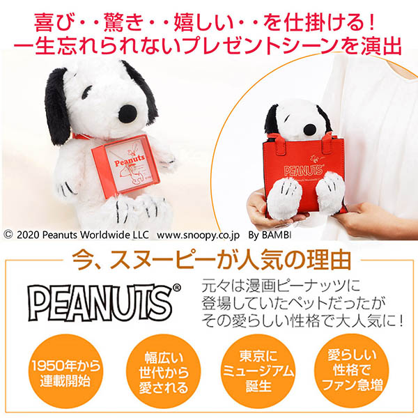 現金特価 母の日 スヌーピー シルバーネックレス ピアスセット Snoopyレディース 彼女 女性 誕生日プレゼント ギフト 日本産 Ijpneast Co In