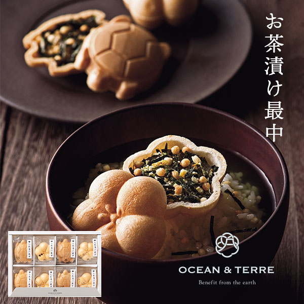 はらぺこあおむし お部屋て楽しむ栽培セット