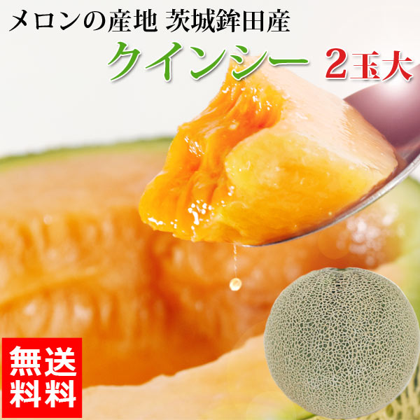 送料無料 茨城メロン クインシー 2玉 大 4L ほこいち農園 茨城県 鉾田 赤肉 4Lサイズ 2玉入り 茨城メロン 鉾田茨城メロン (収穫次第順次出荷) (同梱不可) めろん フルーツ 果物 内祝い 父の日ギフト 父の日 ギフト プレゼント 父の日プレゼント スイーツ