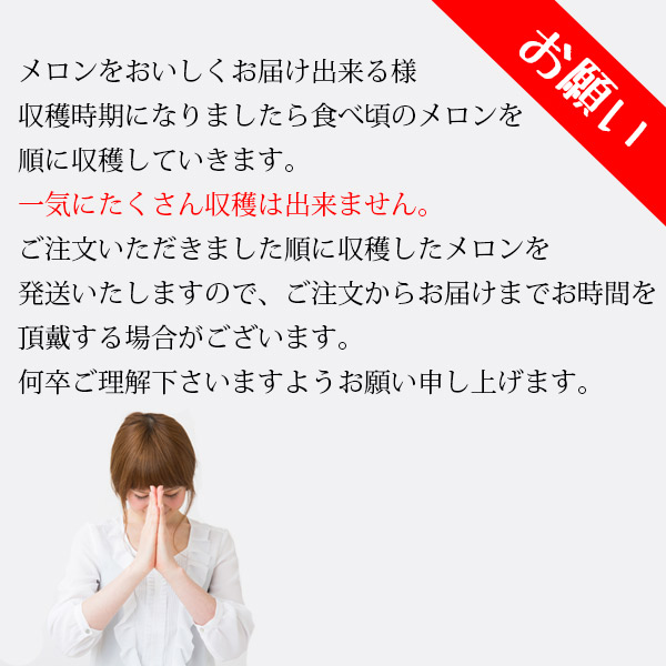 シューイチ まじっすか で取りいれる 茨城 景品 メロン 貨物輸送無料 茨城 鉾田 青信号肉類 イバラキング 2滴特大 5l ほこいち栽培所 茨城県 鉾田 青葉肉 青肉 茨城メロン 鉾田メロン 所産規律順次発送 同梱不可 めろん フルーツ 果物 内祝い 創立者の年月 贈りもの 恵与