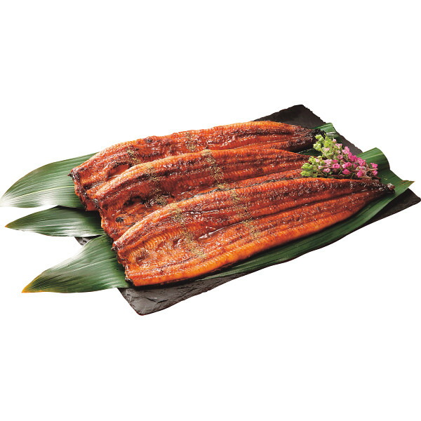メーカー直送 鰻楽 九州産 特大うなぎ蒲焼(3尾) 季節限定 お取り寄せ グルメ 夏ギフト お中元 暑中見舞い 水産加工品 sdch｜愛dealギフト-内祝い・引き出物