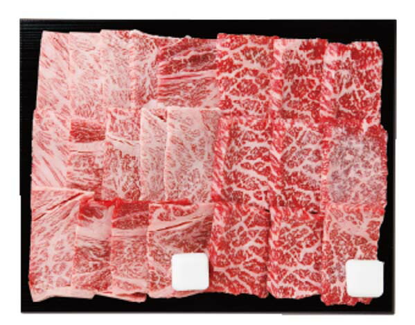 メーカー直送 お取り寄せ品 仙台牛 肩ロース・モモ 焼肉食べ比べセット(計500g) SGR8A