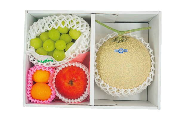 メーカー直送 お取り寄せ品 旬を味わうフルーツ詰め合わせ SGR8A
