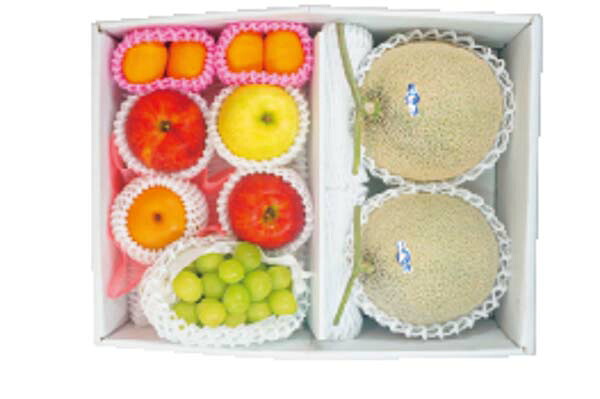 メーカー直送 お取り寄せ品 旬を味わうフルーツ詰め合わせ SGR8A 14,650円