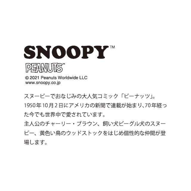 スプーン レッド Snoopy シーズン スヌーピー 単品 Sn611 850