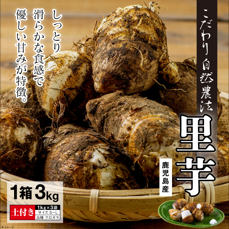 楽天市場 P2倍 里芋 さといも 鹿児島県 垂水産 里芋 品種 クロガラ 3kg 送料無料 S Lサイズ 国産 もり畑 自然農法 野菜 芋煮 煮物 情熱畑 楽天市場店