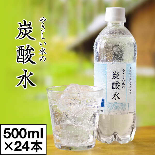 お茶 ペットボトル 500ml 代引不可 48本 LDCお茶屋さんの緑茶 緑茶 500ml×48本 LDC