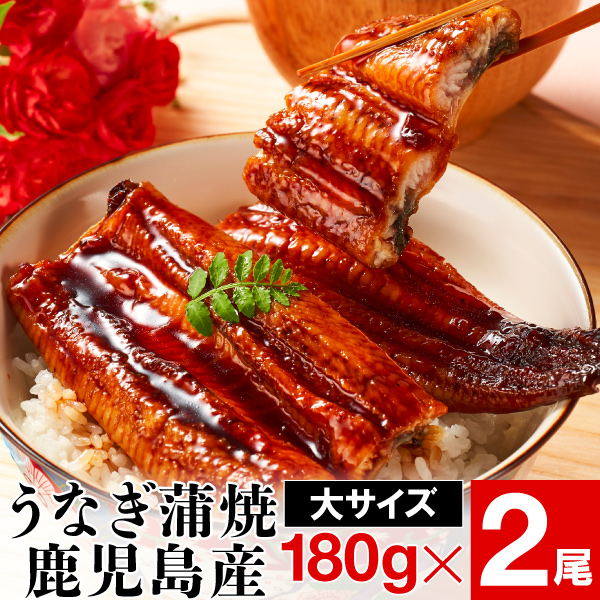 【ポイント2倍】 父の日 うなぎ 国産 ギフト 鹿児島 大隅産 鰻 180g 2尾 ウナギ 蒲焼き unagi 送料無料 誕生日 プレゼント うなぎ蒲焼き 冷凍 産地直送 土用の丑の日 内祝い お返し