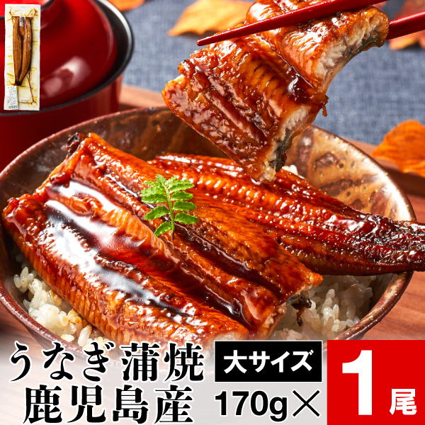 【楽天市場】うなぎ 蒲焼き 国産 鰻 お歳暮 大サイズ 170g 2尾 送料