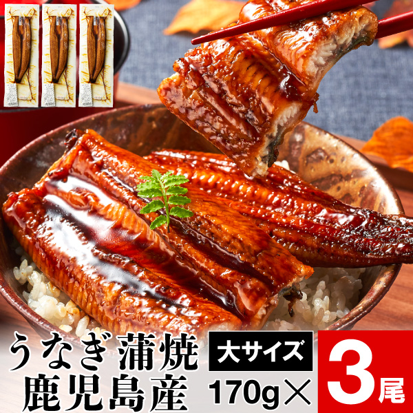 【楽天市場】うなぎ 蒲焼き 国産 鰻 お歳暮 大サイズ 170g 2尾 送料