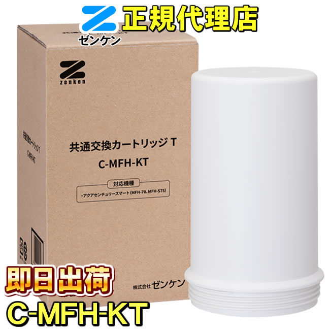 新品未使用】FBN-A001 CureNel キュアネル専用インク